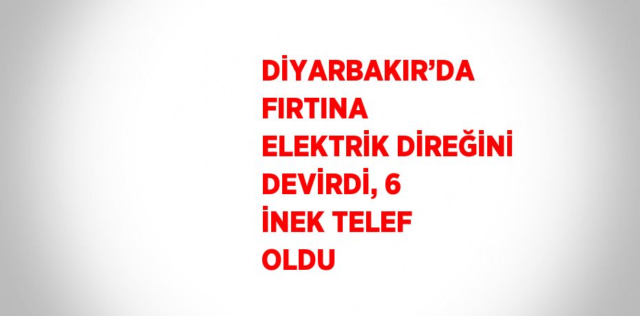 DİYARBAKIR’DA FIRTINA ELEKTRİK DİREĞİNİ DEVİRDİ, 6 İNEK TELEF OLDU