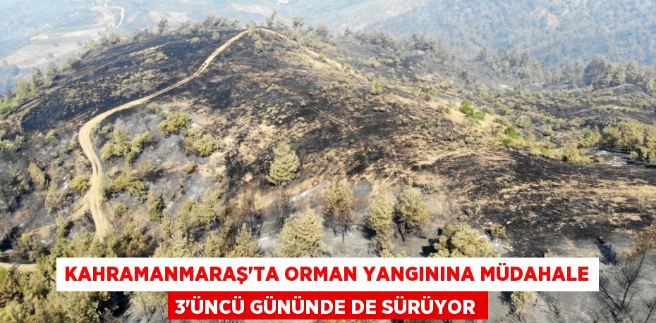 Kahramanmaraş’ta orman yangınına müdahale 3’üncü gününde de sürüyor