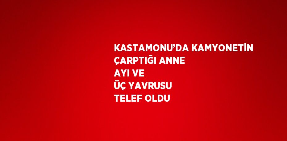 KASTAMONU’DA KAMYONETİN ÇARPTIĞI ANNE AYI VE ÜÇ YAVRUSU TELEF OLDU