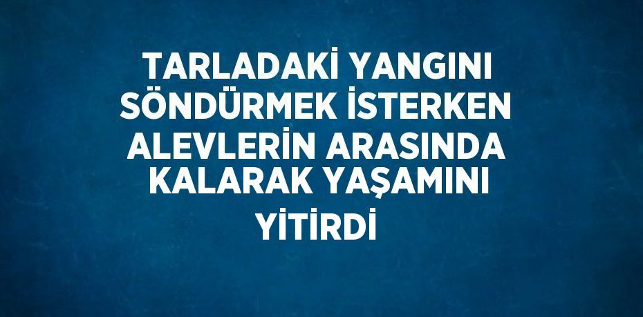 TARLADAKİ YANGINI SÖNDÜRMEK İSTERKEN ALEVLERİN ARASINDA KALARAK YAŞAMINI YİTİRDİ