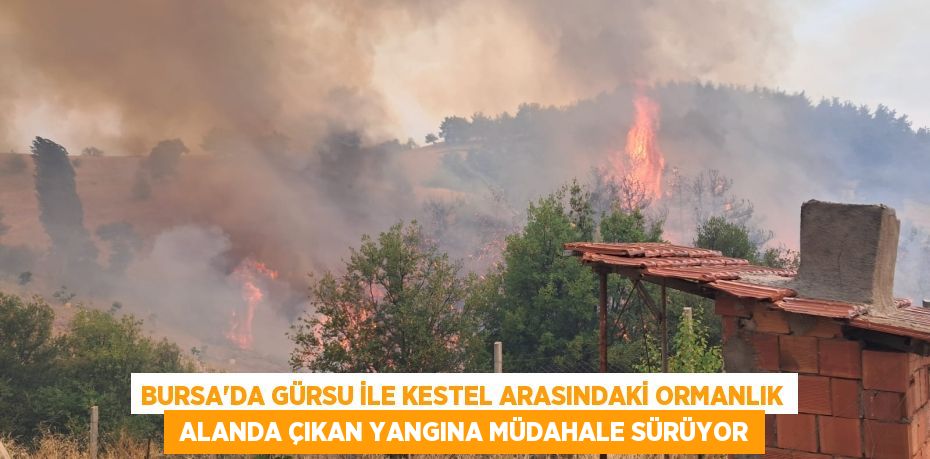 BURSA'DA GÜRSU İLE KESTEL ARASINDAKİ ORMANLIK  ALANDA ÇIKAN YANGINA MÜDAHALE SÜRÜYOR