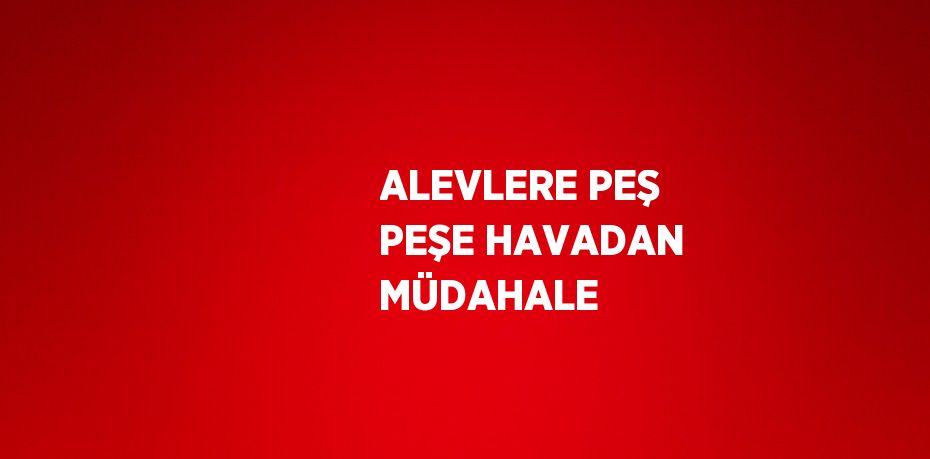 ALEVLERE PEŞ PEŞE HAVADAN MÜDAHALE