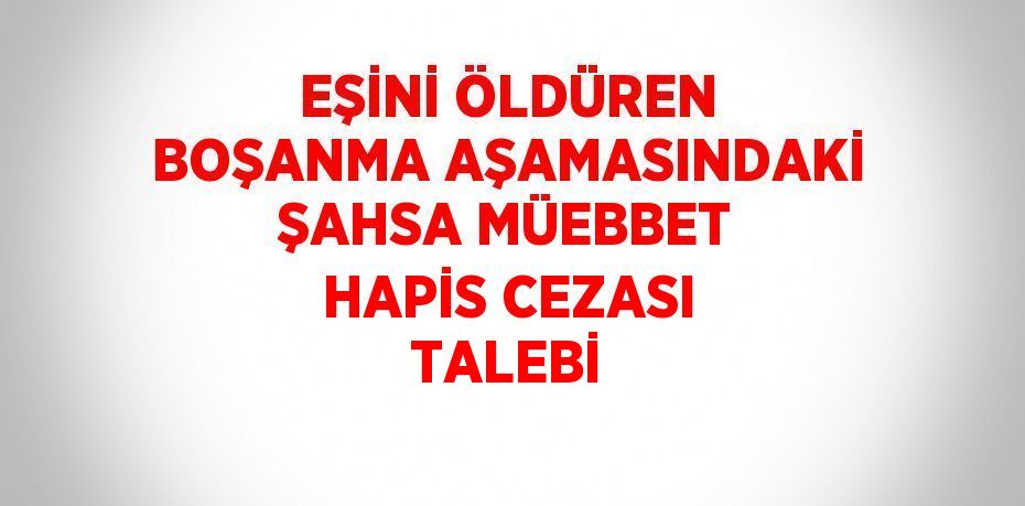 EŞİNİ ÖLDÜREN BOŞANMA AŞAMASINDAKİ ŞAHSA MÜEBBET HAPİS CEZASI TALEBİ