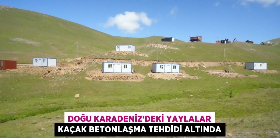 Doğu Karadeniz’deki yaylalar kaçak betonlaşma tehdidi altında