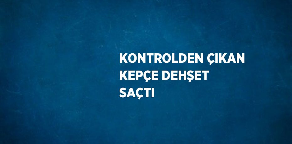 KONTROLDEN ÇIKAN KEPÇE DEHŞET SAÇTI