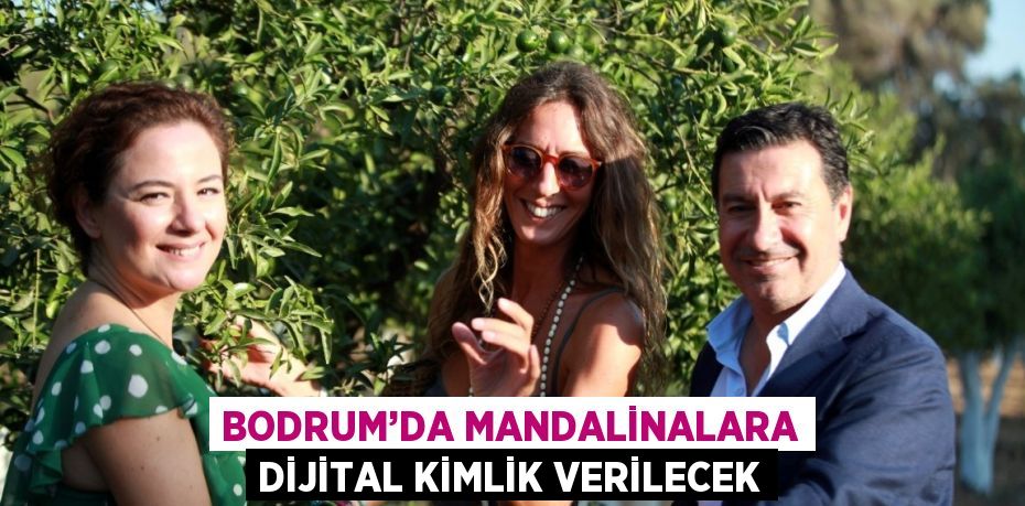 BODRUM’DA MANDALİNALARA DİJİTAL KİMLİK VERİLECEK