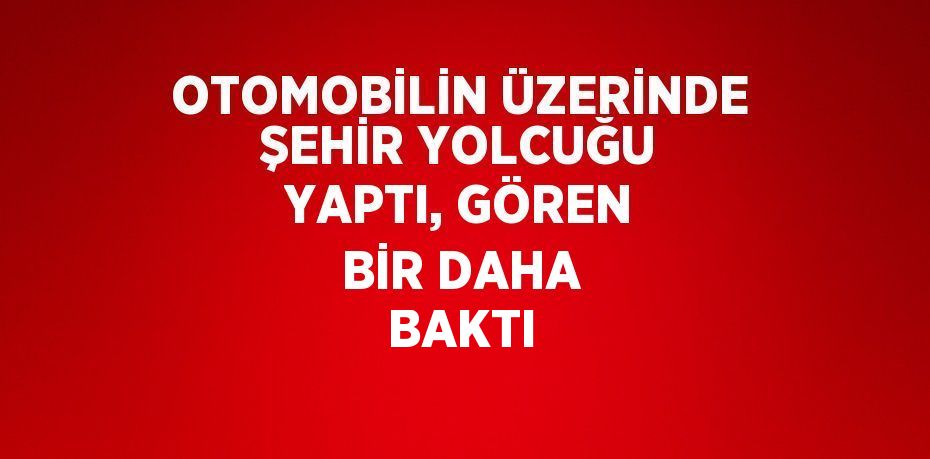OTOMOBİLİN ÜZERİNDE ŞEHİR YOLCUĞU YAPTI, GÖREN BİR DAHA BAKTI