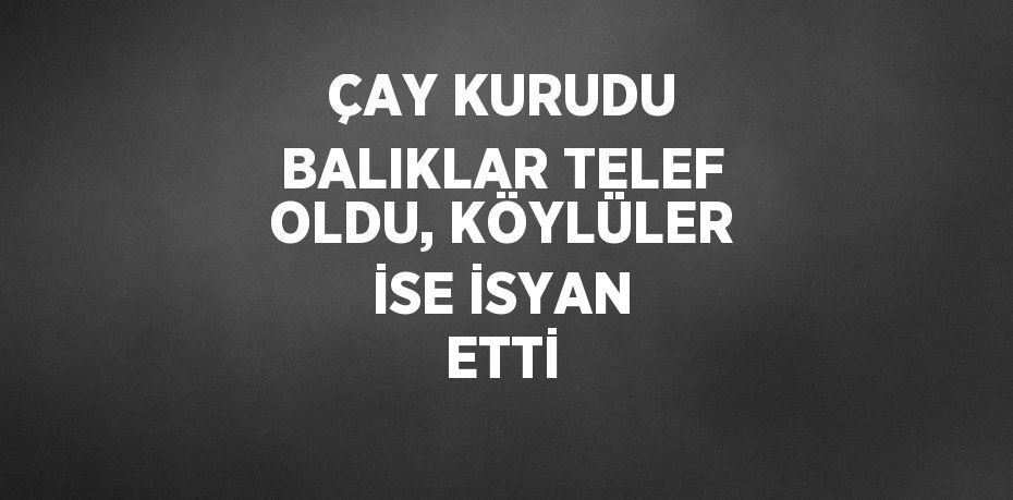 ÇAY KURUDU BALIKLAR TELEF OLDU, KÖYLÜLER İSE İSYAN ETTİ