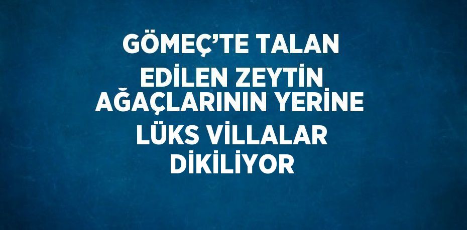 GÖMEÇ’TE TALAN EDİLEN ZEYTİN AĞAÇLARININ YERİNE LÜKS VİLLALAR DİKİLİYOR