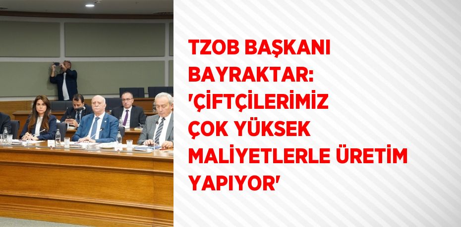 TZOB BAŞKANI BAYRAKTAR: 'ÇİFTÇİLERİMİZ ÇOK YÜKSEK MALİYETLERLE ÜRETİM YAPIYOR'