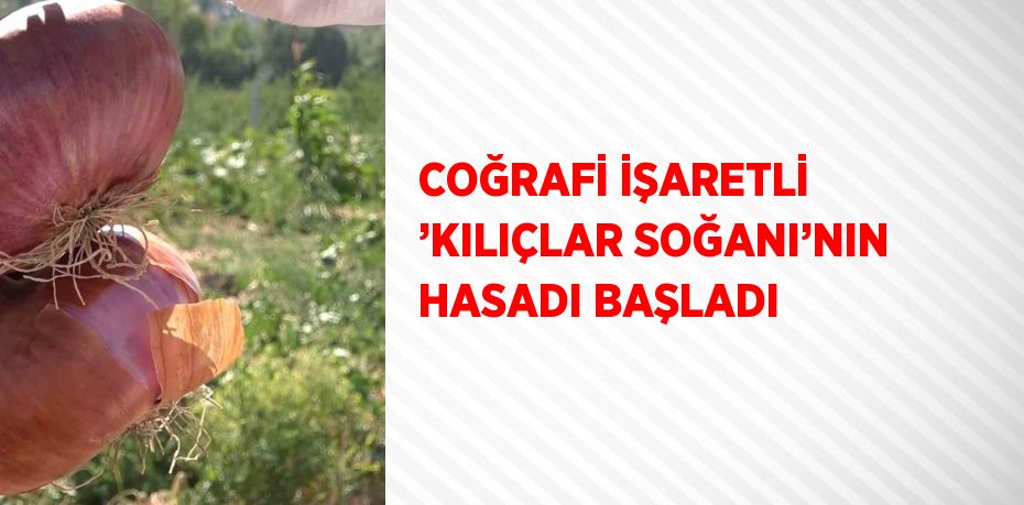 COĞRAFİ İŞARETLİ ’KILIÇLAR SOĞANI’NIN HASADI BAŞLADI