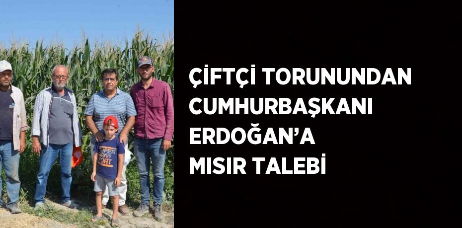ÇİFTÇİ TORUNUNDAN CUMHURBAŞKANI ERDOĞAN’A MISIR TALEBİ