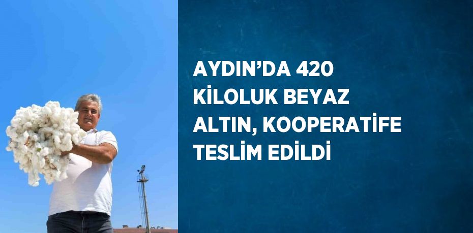 AYDIN’DA 420 KİLOLUK BEYAZ ALTIN, KOOPERATİFE TESLİM EDİLDİ