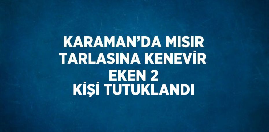KARAMAN’DA MISIR TARLASINA KENEVİR EKEN 2 KİŞİ TUTUKLANDI