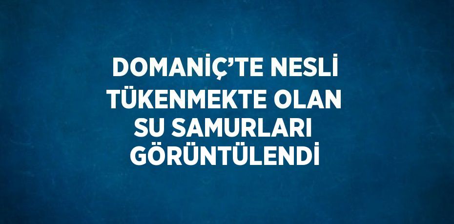 DOMANİÇ’TE NESLİ TÜKENMEKTE OLAN SU SAMURLARI GÖRÜNTÜLENDİ