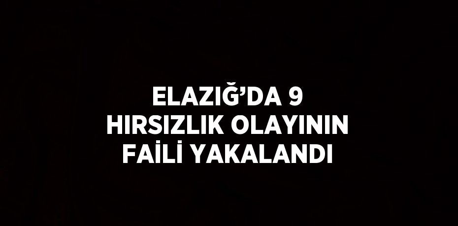 ELAZIĞ’DA 9 HIRSIZLIK OLAYININ FAİLİ YAKALANDI