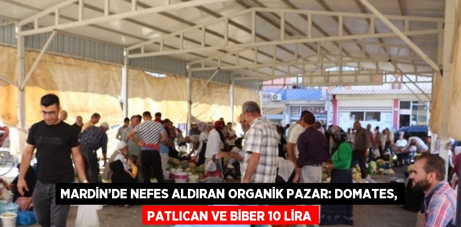 MARDİN’DE NEFES ALDIRAN ORGANİK PAZAR: DOMATES, PATLICAN VE BİBER 10 LİRA