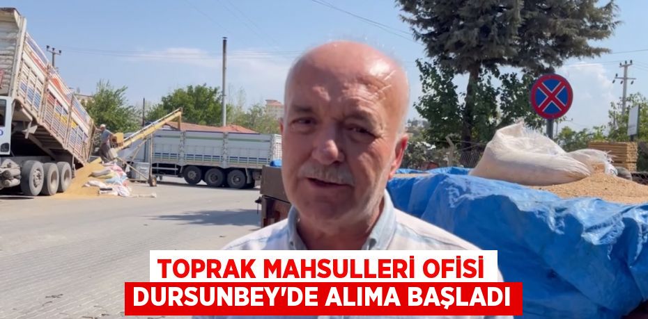 TOPRAK MAHSULLERİ OFİSİ DURSUNBEY'DE ALIMA BAŞLADI