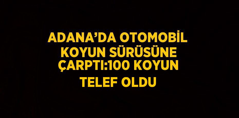 ADANA’DA OTOMOBİL KOYUN SÜRÜSÜNE ÇARPTI:100 KOYUN TELEF OLDU