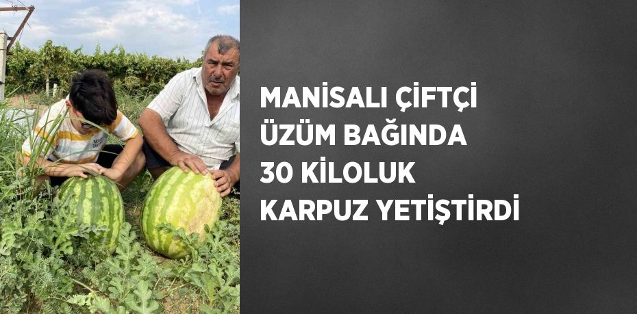 MANİSALI ÇİFTÇİ ÜZÜM BAĞINDA 30 KİLOLUK KARPUZ YETİŞTİRDİ