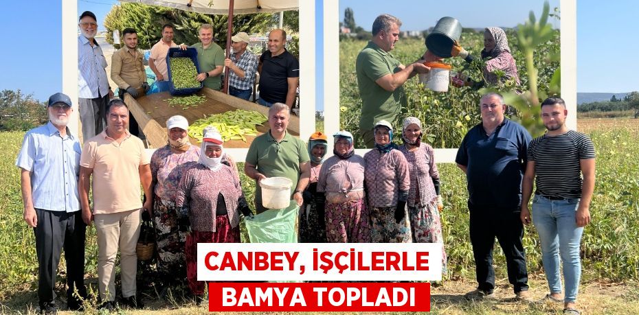 CANBEY, İŞÇİLERLE  BAMYA TOPLADI