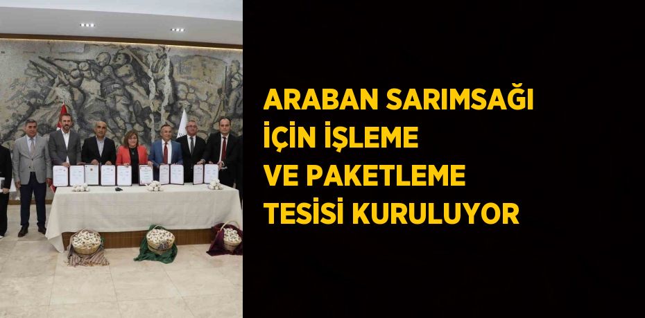 ARABAN SARIMSAĞI İÇİN İŞLEME VE PAKETLEME TESİSİ KURULUYOR