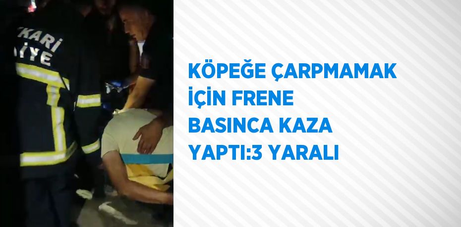 KÖPEĞE ÇARPMAMAK İÇİN FRENE BASINCA KAZA YAPTI:3 YARALI