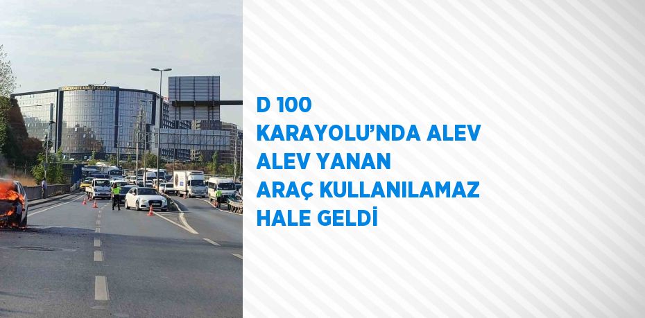 D 100 KARAYOLU’NDA ALEV ALEV YANAN ARAÇ KULLANILAMAZ HALE GELDİ