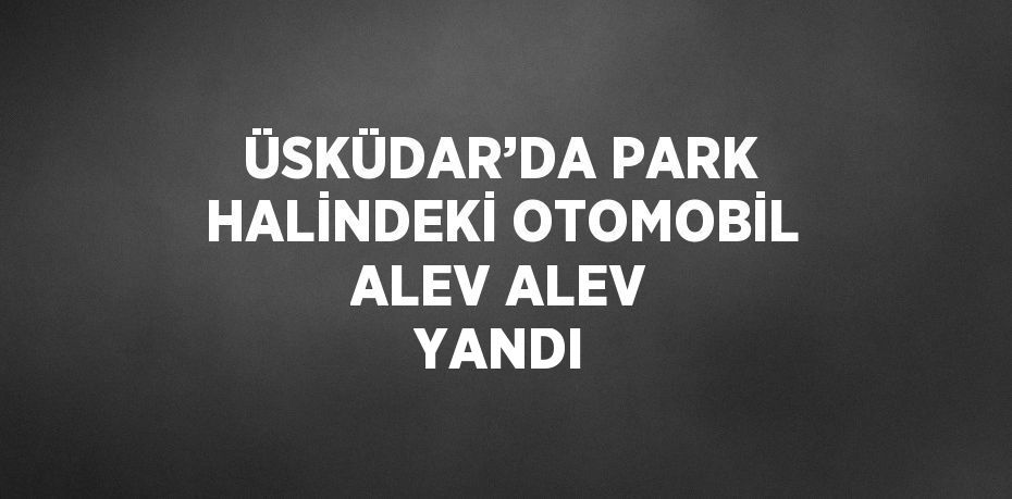 ÜSKÜDAR’DA PARK HALİNDEKİ OTOMOBİL ALEV ALEV YANDI