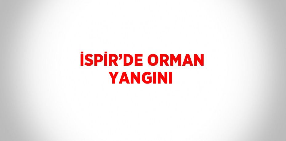 İSPİR’DE ORMAN YANGINI