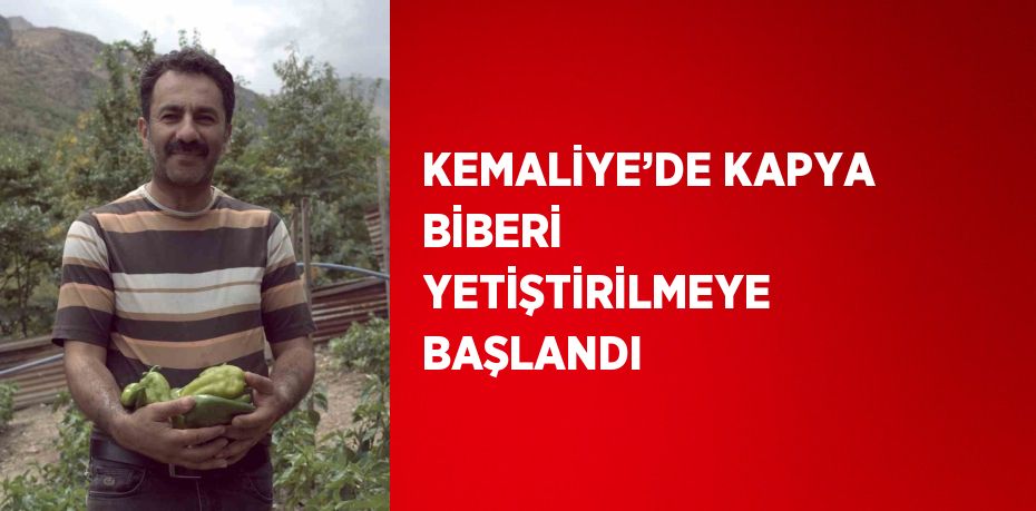 KEMALİYE’DE KAPYA BİBERİ YETİŞTİRİLMEYE BAŞLANDI