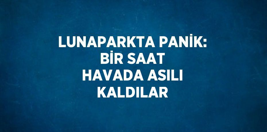 LUNAPARKTA PANİK: BİR SAAT HAVADA ASILI KALDILAR