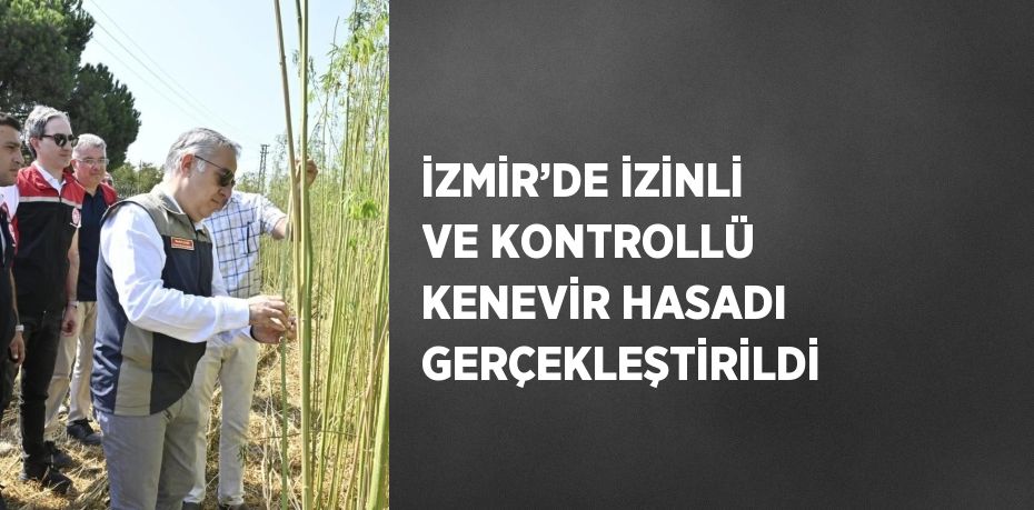 İZMİR’DE İZİNLİ VE KONTROLLÜ KENEVİR HASADI GERÇEKLEŞTİRİLDİ