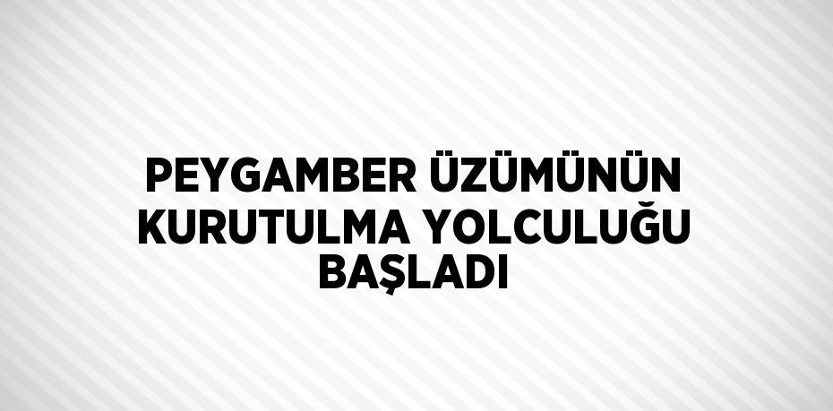 PEYGAMBER ÜZÜMÜNÜN KURUTULMA YOLCULUĞU BAŞLADI