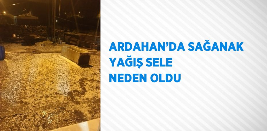 ARDAHAN’DA SAĞANAK YAĞIŞ SELE NEDEN OLDU