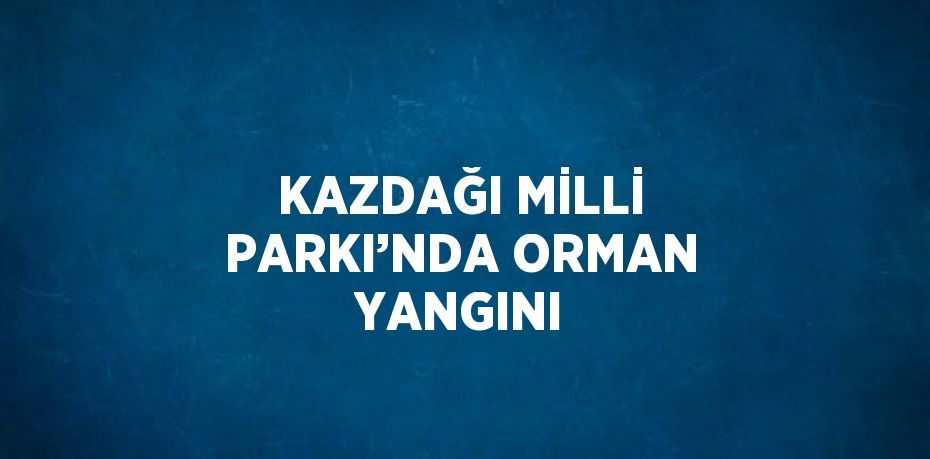 KAZDAĞI MİLLİ PARKI’NDA ORMAN YANGINI