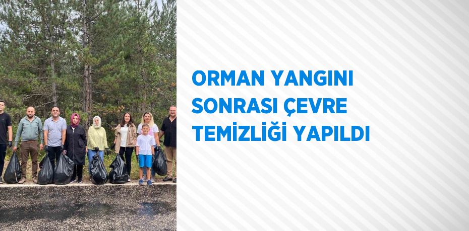 ORMAN YANGINI SONRASI ÇEVRE TEMİZLİĞİ YAPILDI