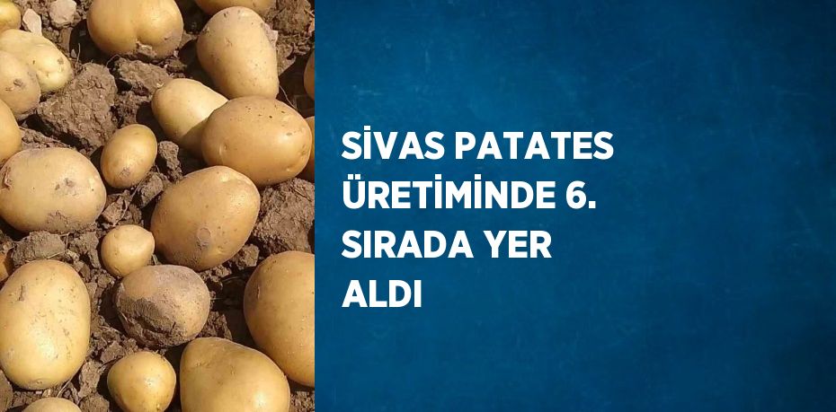 SİVAS PATATES ÜRETİMİNDE 6. SIRADA YER ALDI