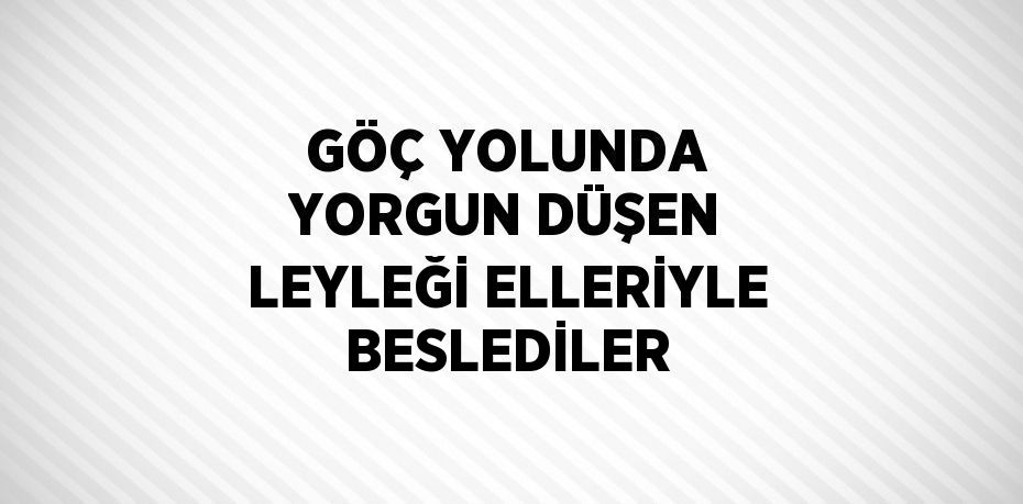 GÖÇ YOLUNDA YORGUN DÜŞEN LEYLEĞİ ELLERİYLE BESLEDİLER