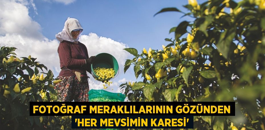 FOTOĞRAF MERAKLILARININ GÖZÜNDEN ‘HER MEVSİMİN KARESİ’