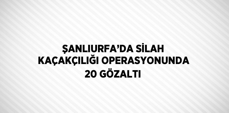 ŞANLIURFA’DA SİLAH KAÇAKÇILIĞI OPERASYONUNDA 20 GÖZALTI