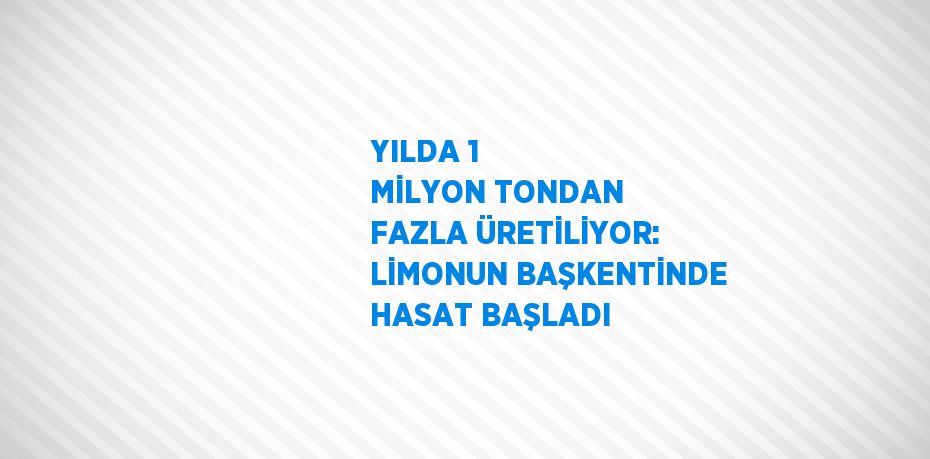 YILDA 1 MİLYON TONDAN FAZLA ÜRETİLİYOR: LİMONUN BAŞKENTİNDE HASAT BAŞLADI