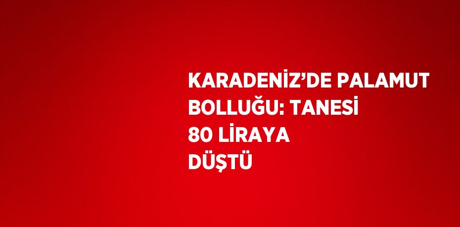 KARADENİZ’DE PALAMUT BOLLUĞU: TANESİ 80 LİRAYA DÜŞTÜ