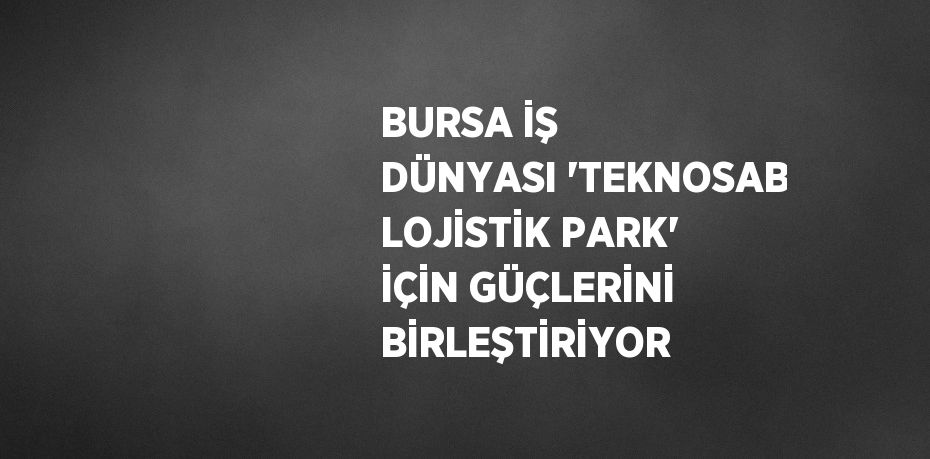 BURSA İŞ DÜNYASI 'TEKNOSAB LOJİSTİK PARK' İÇİN GÜÇLERİNİ BİRLEŞTİRİYOR