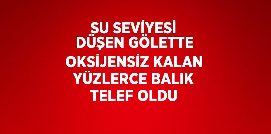 SU SEVİYESİ DÜŞEN GÖLETTE OKSİJENSİZ KALAN YÜZLERCE BALIK TELEF OLDU