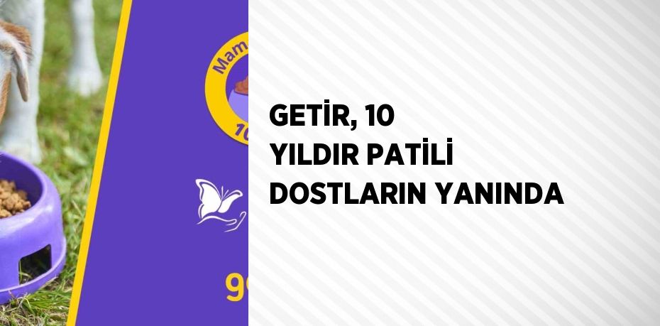 GETİR, 10 YILDIR PATİLİ DOSTLARIN YANINDA