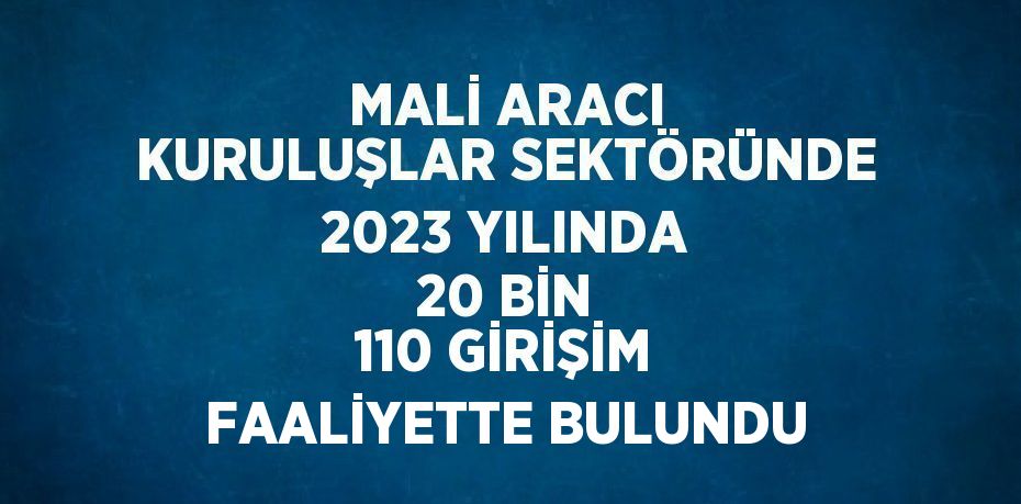 MALİ ARACI KURULUŞLAR SEKTÖRÜNDE 2023 YILINDA 20 BİN 110 GİRİŞİM FAALİYETTE BULUNDU