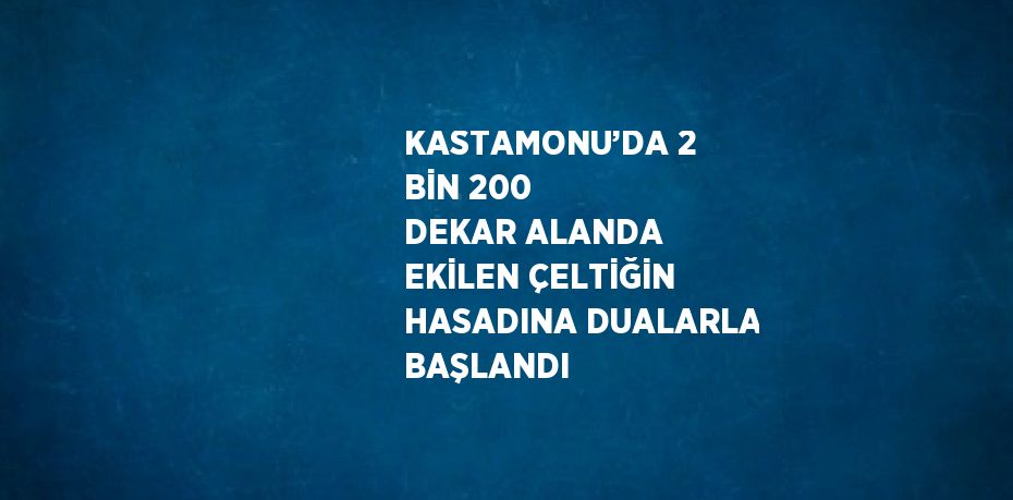 KASTAMONU’DA 2 BİN 200 DEKAR ALANDA EKİLEN ÇELTİĞİN HASADINA DUALARLA BAŞLANDI