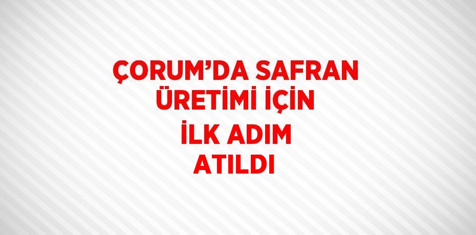 ÇORUM’DA SAFRAN ÜRETİMİ İÇİN İLK ADIM ATILDI