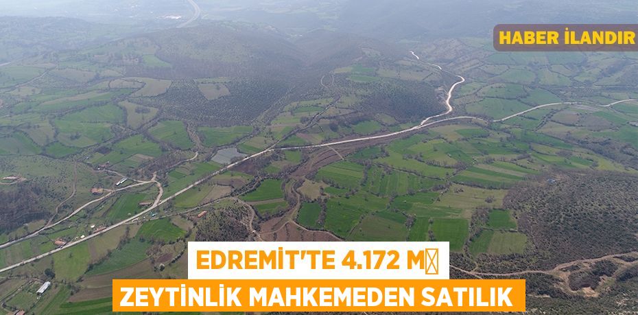 Edremit'te 4.172 m² zeytinlik mahkemeden satılık